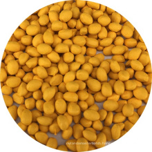 Cheap masterbatch granules price yellow masterbatch